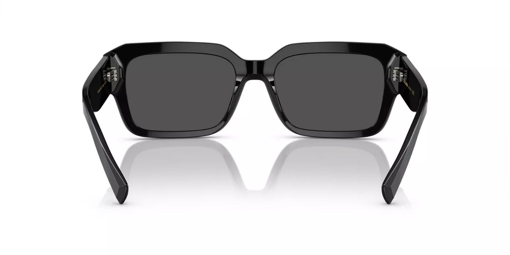 Dolce & Gabbana DG4460 Shiny Black/Grey (501/87) Sunglasses