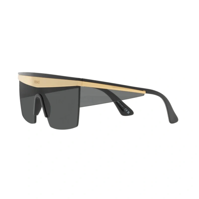 Versace VE 2254 Sunglasses