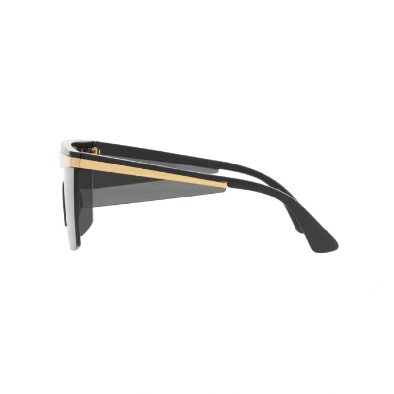 Versace VE 2254 Sunglasses