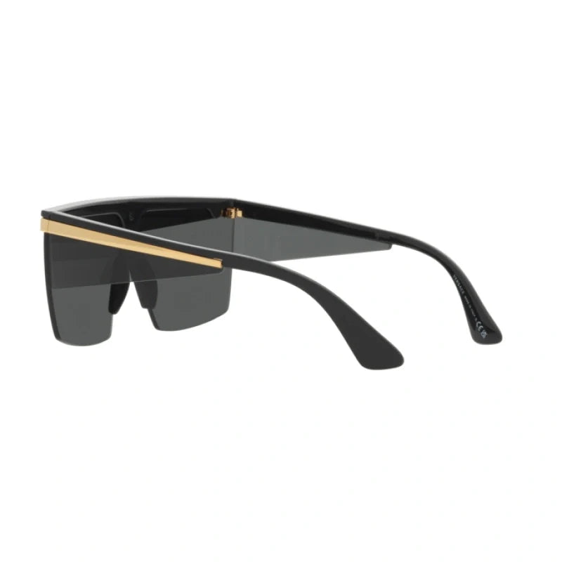Versace VE 2254 Sunglasses